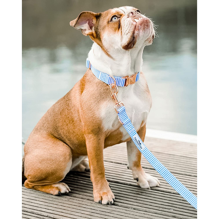 Нашийник і повідець FREUDENTIER для собак виготовлені з високоякісного полотна в комплекті, 2 м поводок для собак регулюється в 3 рази, простий у догляді і захищений від зими (41-63 см, світло-блакитний / білий)