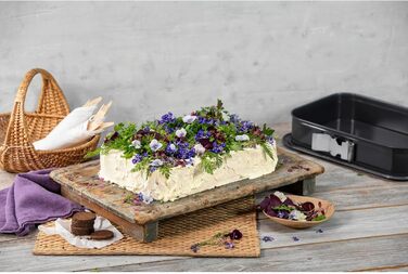 Форма для випічки Kaiser La Forme Plus прямокутна 35 x 24 см з емальованим дном, антипригарне покриття, для торту, тирамісу