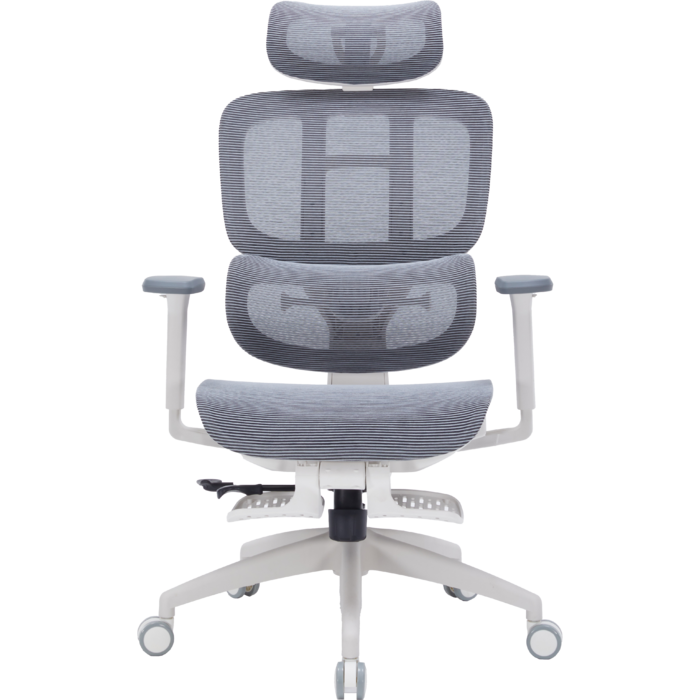 Крісло офісне OfficePro Skyline OC750-W-DG-DG