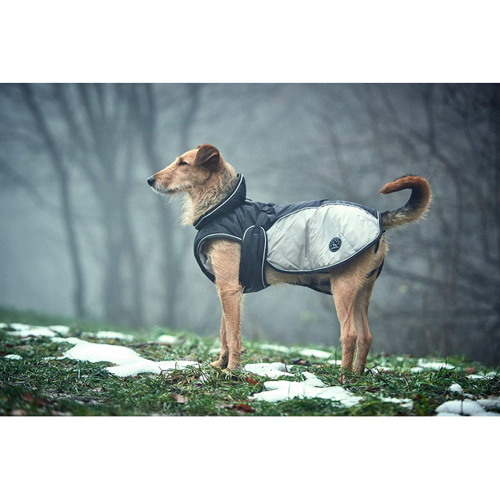 Екстремальне пальто для собак Hunter UPPSALA, зимове пальто, водовідштовхувальне, світловідбиваюче, 40, чорне/сіре, чорне / сіре 40