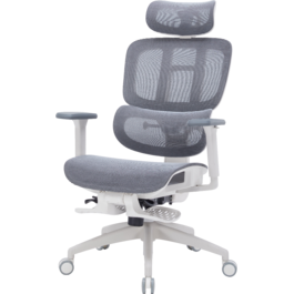 Крісло офісне OfficePro Skyline OC750-W-DG-DG