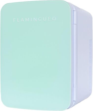 Міні холодильник Flamingueo 10 л, 12V/220V, охолодження і нагрівання, компактний настільний холодильник для напоїв та їжі