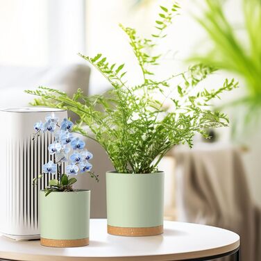 Набір горщиків для квітів 5 шт. з підставками, 17.8/15.2/14/12.7/10.2 см, пластикові, для гідропоніки, внутрішнього та балконного озеленення, зелені з коричневим піддоном