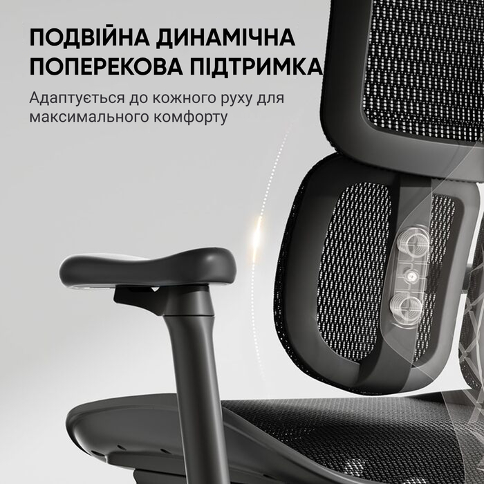 Ергономічне офісне крісло SIHOO Doro S100 black з підлокітниками 6D та підтримкою попереку