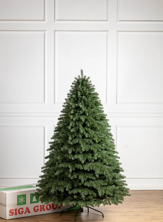 Ялинка лита 'Версальська' ПАРАСОЛЬКА ЗЕЛЕНА 2,50м