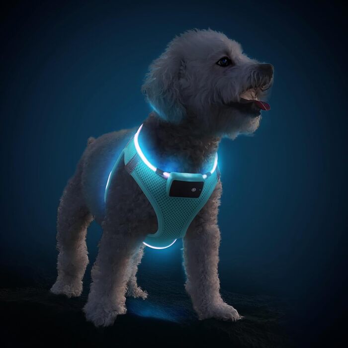 Нагрудна шлейка PcEoTllar зі світлодіодним підсвічуванням для собак (L, синя)