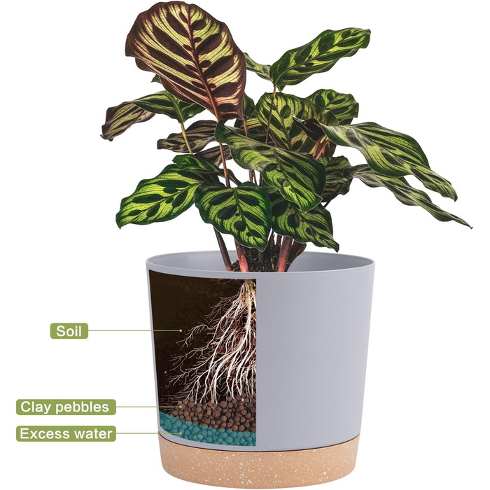 Набір горщиків для квітів QCQHDU 2 шт. з дренажними отворами та знімним дном, підставки, сучасний декор для дому та саду (світло-сірий, 30.5 см)