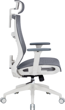 Крісло офісне OfficePro Balance OC620-W-DG-DG