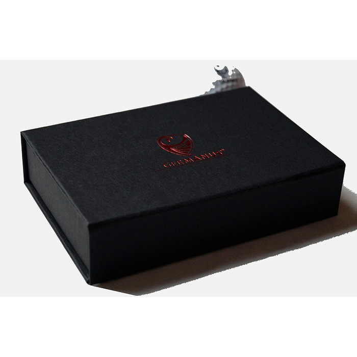Праска для попільнички для сигар GERMANUS, чорний алюміній в подарунковій коробці