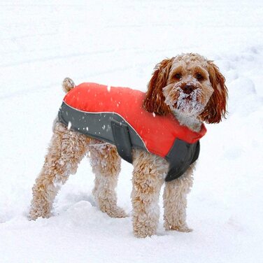 Теплий спортивний жилет для собак Berry, світловідбиваючий, для сніжної одягу, доступний в 8 розмірах для маленьких, середніх і великих собак 3XL груди 62-70 см, довжина спини 63 см червоний