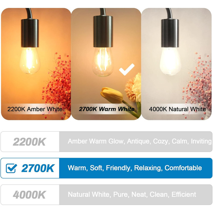 25 LED-ламп E27 2W, скляні, тепле світло 2700K, для ліхтарів та гірлянд, не димуються, 25 шт.