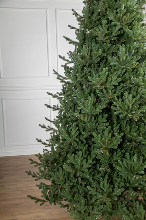 Ялинка лита 'Міланська' ПАРАСОЛЬКА ЗЕЛЕНА 2,30м