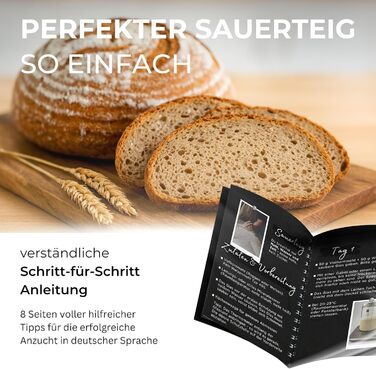 Набір для випічки хліба з закваскою: круглий гнідець, аксесуари для закваски та датський вінчик | Набір для початківців
