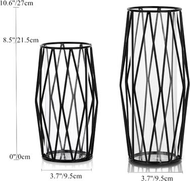 Ваза для пампасної трави, скляна ваза Ваза з високим дном з геометричною металевою підставкою, квітковий горщик в скандинавському стилі для прикраси столу, офісу, весільного прикраси, висотою 27 см (маленький великий, чорний)