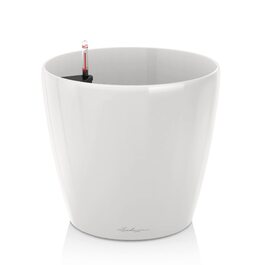 колір: білий глянц