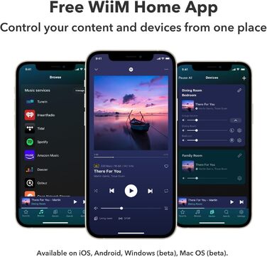 Підсилювач WiiM підсилювач Multi-Room з AirPlay 2, Chromecast, HDMI і голосовим керуванням - сріблястий