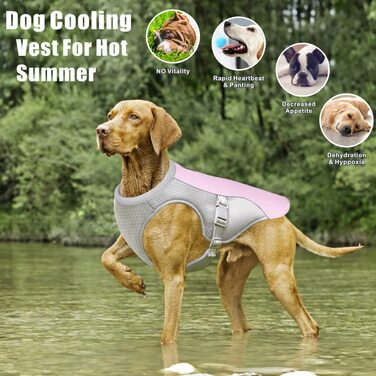 Охолоджуючий жилет для собак Dolahovy, куртка для собак з дихаючої сітки, регульована літня куртка для собак, Світловідбиваюча захисна Крижана одяг для великих середніх і маленьких собак, 2XL, рожевий