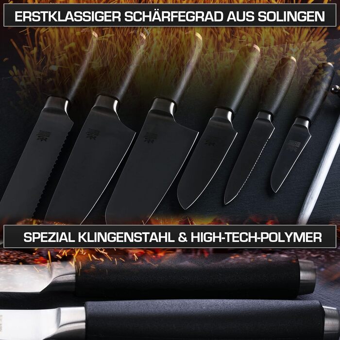 Набір кухонних ножів Gehrig Solingen Home, 6 предметів, з бруском, Made in Germany