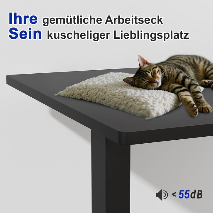 Стол офісний JUMMICO з регулюванням висоти, 100x160 см, 3 положення пам'яті, білий/чорний