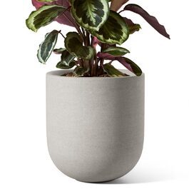 розмір: 20 см