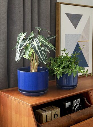 Набір керамічних горщиків LE TAUCI 3 шт. (11, 13, 17 см), горщики для кімнатних рослин з підставкою та дренажним отвором, реактивна глазур (бежевий, сапфіровий блакитний)