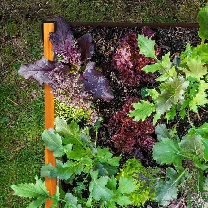 Гардленд Relaxdays - вузька грядка з дерева