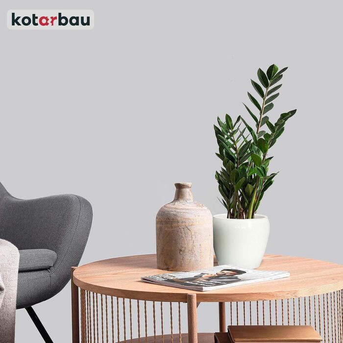 Керамічні горщики для квітів KOTARBAU® (15 см, діаметр 13,5 см, білі)