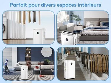 Зволожувач повітря Pasapair – автоматичний осушувач для дому до 120 м³ (20 м²) з таймером, 3 режими роботи, цифровий дисплей, шланг для відведення конденсату. Захист від вологи та плісняви.