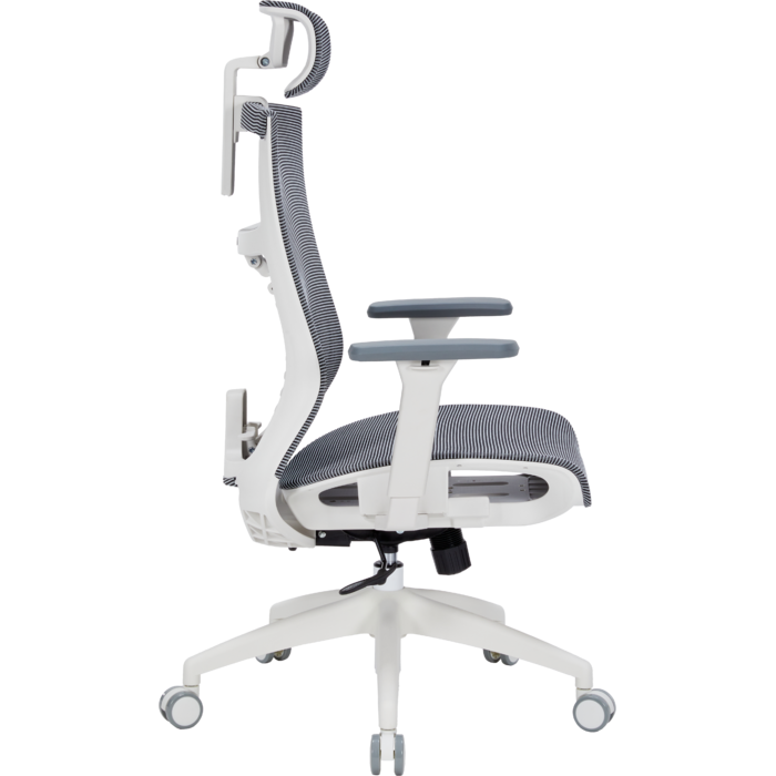 Крісло офісне OfficePro Balance OC620-W-DG-DG