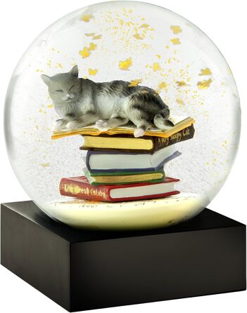 Кіт CoolSnowGlobes на купі книжок