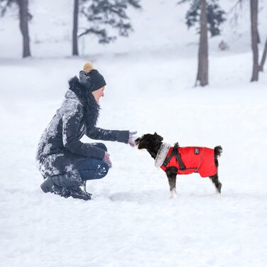 Повсякденний одяг для собак, зимова куртка для домашніх тварин, світловідбиваючий одяг для маленьких собак, вітрозахисний жилет для цуценят, костюм для собак, зимовий костюм для маленьких собак, розміром з сідло, для бульдога, Тедді (l, Червоний), Для мал