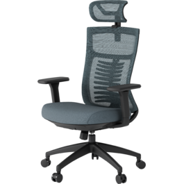 Крісло офісне OfficePro Balance OC550-B-DG-DG