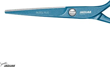 Перукарські ножиці JAGUAR Pastel Plus ATLANTIC 5,5 дюймів Classic - форма ручки e