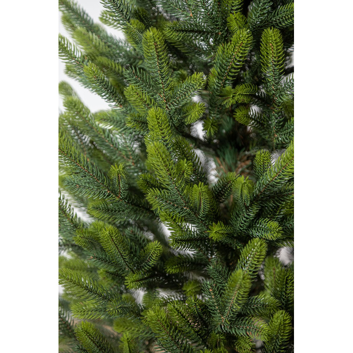 Ялинка лита 'Віденська' в горщику ВЕСНЯНА 1,10м