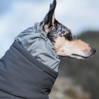 Екстремальна зимова куртка для собак (BlackBerry, 25S)
