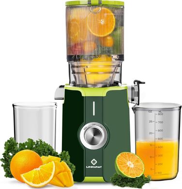 LINKChef Швидковичавник Slow Juicer: холодний віджим, для овочів та фруктів, легко миється, BPA Free, 200W (зелений)