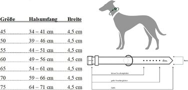 Нашийник собаки, нейлон, неопренова м'яка, світловідбиваюча, 50 (М), окружність шиї 39 - 46 см, чорний/сірий