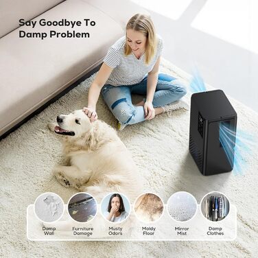 Електричний осушувач повітря 2500 мл з автоматичним вимкненням та системою відтавання, 7 кольорів підсвічування, тихий осушувач для дому, портативний, білий (чорний)