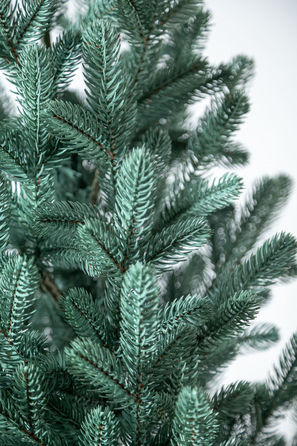 Ялинка лита 'Віденська' в горщику блакитна 1,10 м