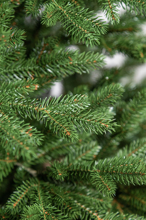 Ялинка лита 'Альпійська' ПАРАСОЛЬКА ЗЕЛЕНА 2,30м