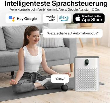 Розумний очищувач повітря Oryzom Smart Luftreiniger V1 Pro з HEPA-фільтром та датчиком PM2.5, керування через додаток та голосовий помічник (білий)