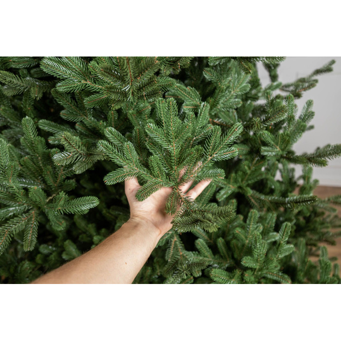 Ялинка лита 'Міланська' ПАРАСОЛЬКА ЗЕЛЕНА 2,10м