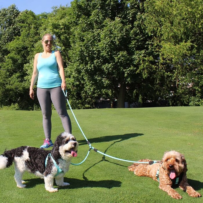 Подвійний повідець PAWTITAS для двох собак / повідець для двох собак ідеально підходить для тренувань і прогулянок повідець для собак для маленьких і великих собак - поводок середнього і великого розміру (середній (М) / великий (Л), рожевий)