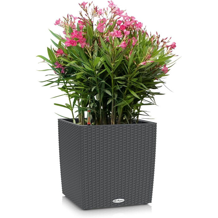 Пляцок Lechuza 'Cube Cottage 30' з системою поливу ґрунтом, граніт, 30 x 30 x 30 см