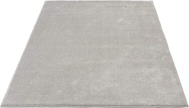 Елегантний дизайнерський килим для вітальні, м'який і не вимагає особливого догляду килим з коротким ворсом для вітальні (200 см круглий, сріблястий)