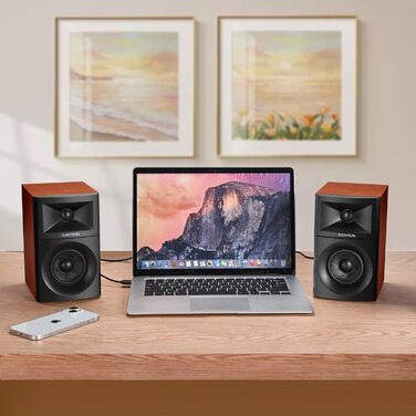 Sanyun SW203: Акустична система 4.0, 60W, 4-Way, DSP, 3D звук, USB/Bluetooth 5.4, AUX, для студії, пара, чорний