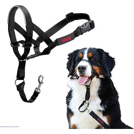 Головний убір HALTI, розмір-не дозволяє вашій собаці тягнути повідець, легко регулюється, легкий, з м'яким ремінцем для носа, нашийник із захистом від натягу для собак середнього розміру (5, чорний)