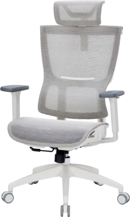 Крісло офісне OfficePro Elegant OC660-W-LG-LG