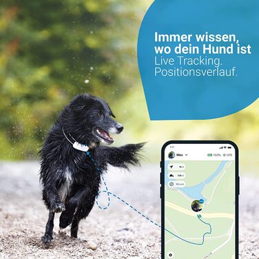 Тяговий GPS-трекер для собак Tractive водонепроникний білий
