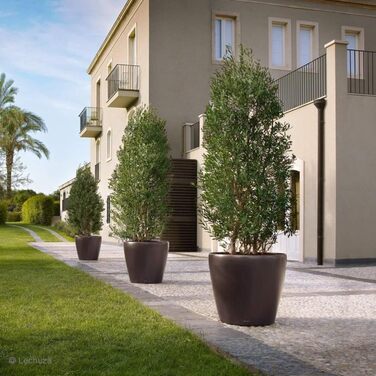 Горщик Lechuza Classico Premium 21 LS Комплект, Білий (70x70x64.5 см, Тауп Глянцевий, Однотонний)